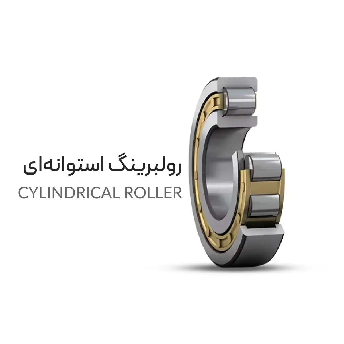 رولبرینگ صنعتی | راهنمای کامل خرید + مقایسه انواع و کاربردها رولبرینگ صنعتی | راهنمای کامل خرید + مقایسه انواع و کاربردها